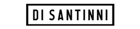 DI SANTINNI LOGO 2